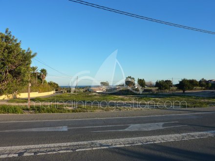 Terreno, Situado en Elche Alicante 4