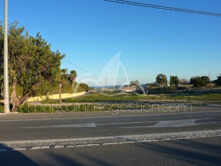 Terreno, Situado en Elche Alicante 3