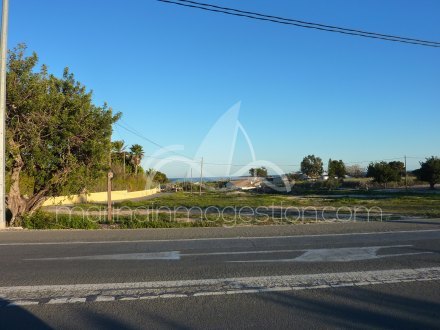 Terreno, Situado en Elche Alicante 2