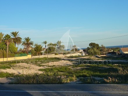 Terreno, Situado en Elche Alicante 1