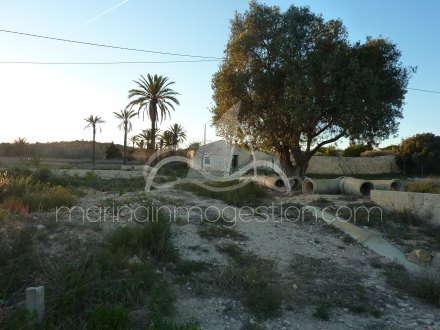 Terreno, Situado en Elche Alicante 1