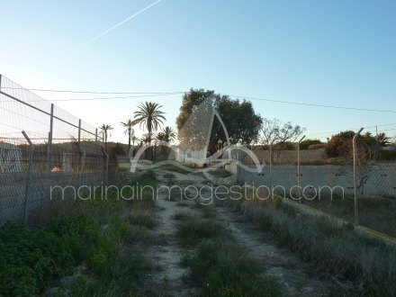 Terreno, Situado en Elche Alicante 2