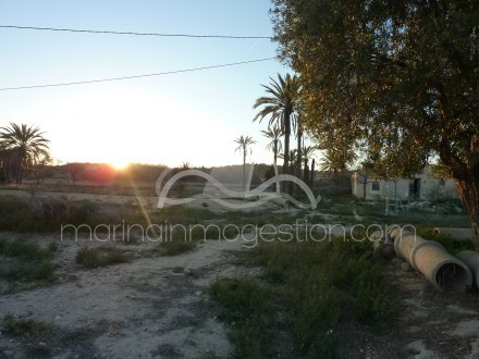 Terreno, Situado en Elche Alicante 3