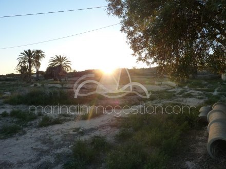 Terreno, Situado en Elche Alicante 4