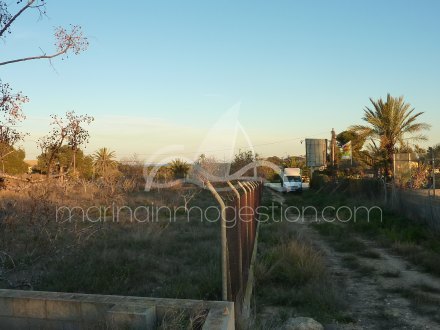 Terreno, Situado en Elche Alicante 5