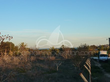 Terreno, Situado en Elche Alicante 7