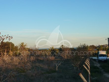 Terreno, Situado en Elche Alicante 7