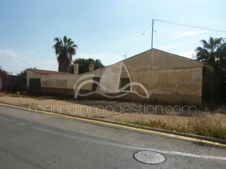 Terreno, Situado en Elche Alicante 3
