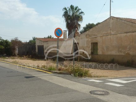 Terreno, Situado en Elche Alicante 4