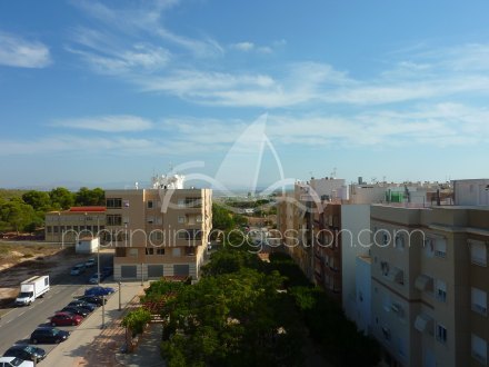 Apartamento, Situado en Elche Alicante 8