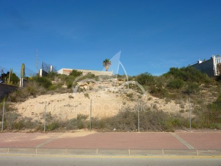 Terreno, Situado en San Fulgencio Alicante 2