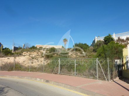 Terreno, Situado en San Fulgencio Alicante 3