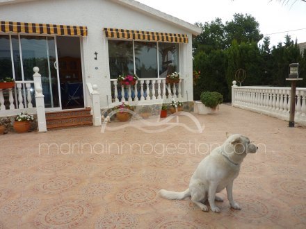 Chalet independiente, Situado en San Fulgencio Alicante 18