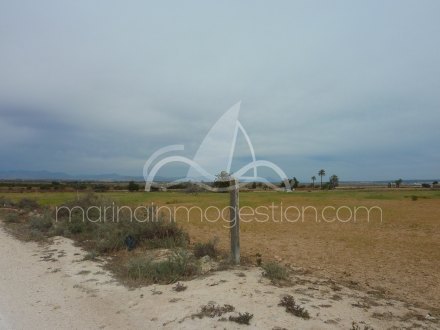 Terreno, Situado en Elche Alicante 9
