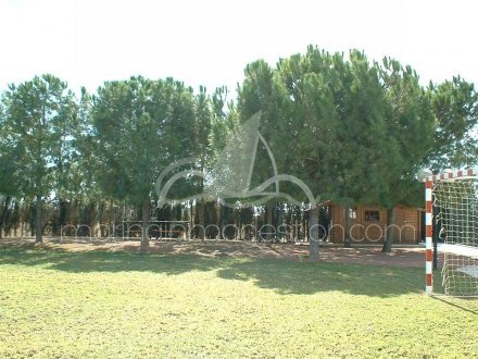 Chalet independiente, Situado en Elche Alicante 15