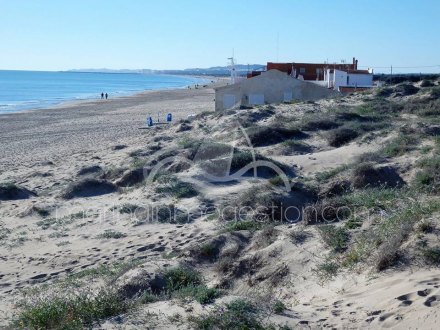 Terreno, Situado en Elche Alicante 13