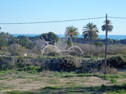 Terreno, Situado en Elche Alicante 12