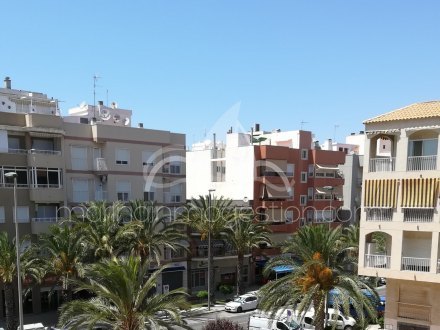 Apartamento, Situado enElcheAlicante 1