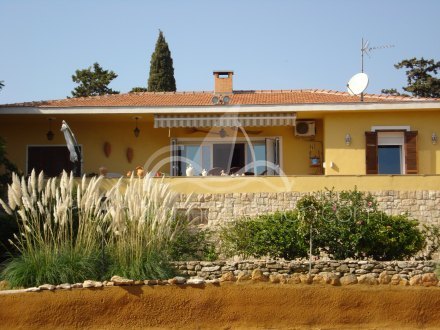 Chalet independiente, Situado en Elche Alicante 1