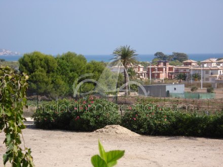 Chalet independiente, Situado en Elche Alicante 3