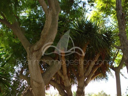 Chalet independiente, Situado en Elche Alicante 24