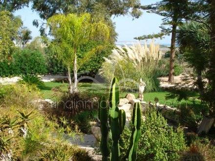 Chalet independiente, Situado en Elche Alicante 8