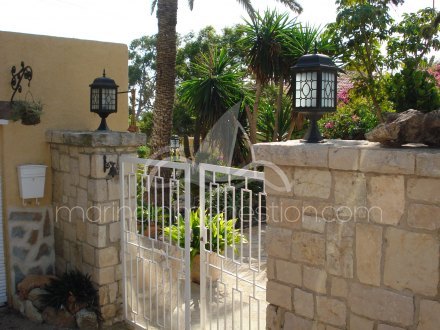 Chalet independiente, Situado en Elche Alicante 25