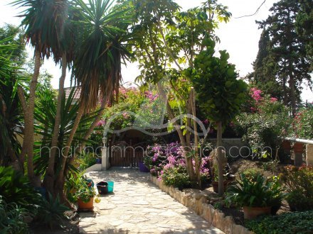 Chalet independiente, Situado en Elche Alicante 26