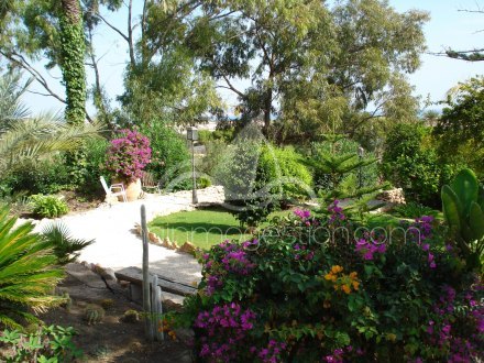 Chalet independiente, Situado en Elche Alicante 27