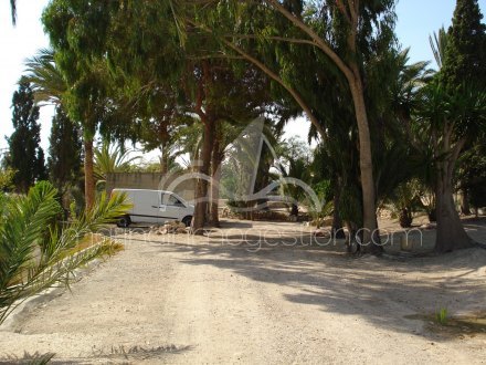 Chalet independiente, Situado en Elche Alicante 29