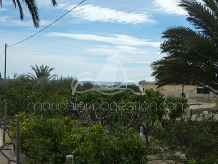 Chalet independiente, Situado en Elche Alicante 3