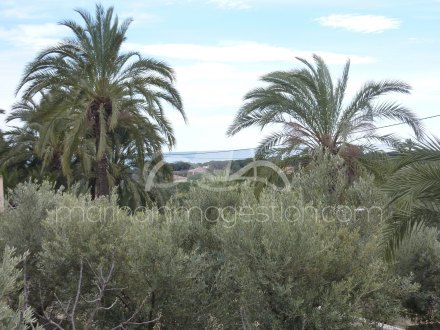 Chalet independiente, Situado en Elche Alicante 4