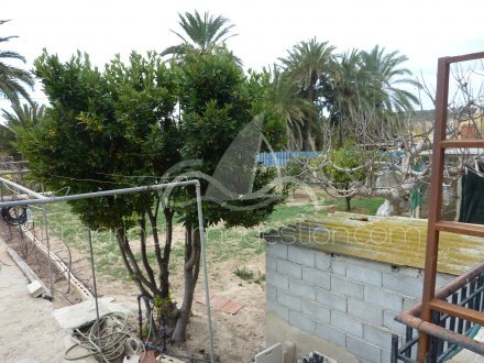 Chalet independiente, Situado en Elche Alicante 28