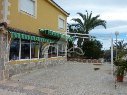 Chalet independiente, Situado en Elche Alicante 5