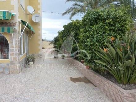 Chalet independiente, Situado en Elche Alicante 26