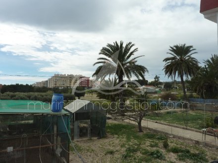 Chalet independiente, Situado en Elche Alicante 23