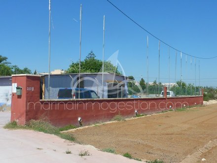 Terreno, Situado en Elche Alicante 2