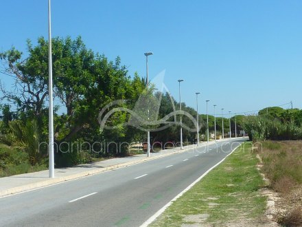 Terreno, Situado en Elche Alicante 3