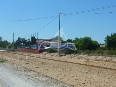 Terreno, Situado en Elche Alicante 4