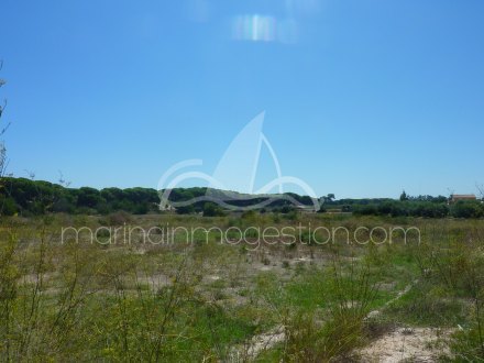 Terreno, Situado en Elche Alicante 10