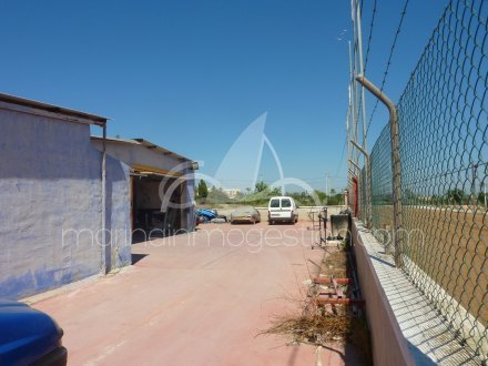 Terreno, Situado en Elche Alicante 6