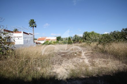 Terreno, Situado en Elche Alicante 1