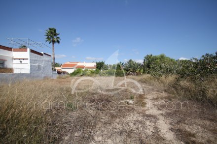 Terreno, Situado en Elche Alicante 2