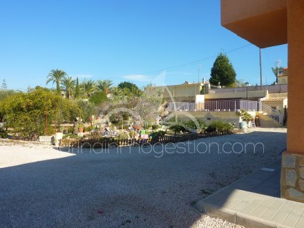 Chalet independiente, Situado en San Fulgencio Alicante 7