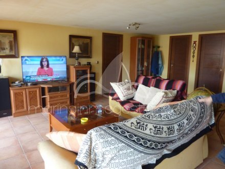 Chalet independiente, Situado en San Fulgencio Alicante 12