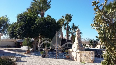Finca, Situado en Elche Alicante 10