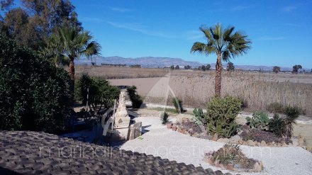 Finca, Situado en Elche Alicante 18