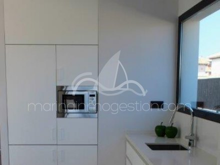 Chalet independiente, Situado en Elche Alicante 13