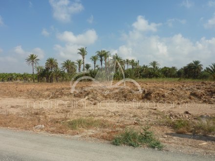 Terreno, Situado en Elche Alicante 3