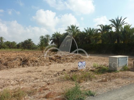 Terreno, Situado en Elche Alicante 4